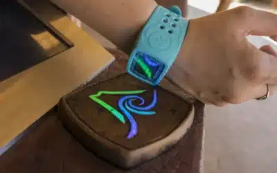 Vorteile von RFID-Chip-Armbändern für Reiseveranstalter