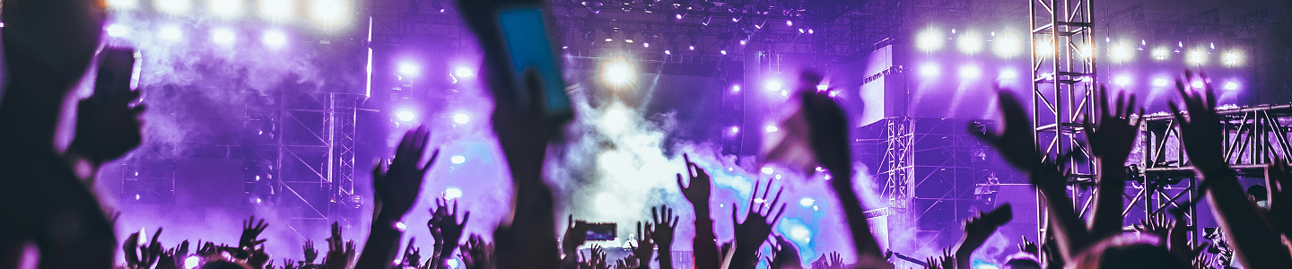 Ordina Braccialetti per Festival Personalizzati in Deutschland